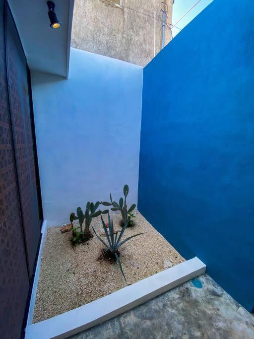 Willa Modern Casa With Pool 7 Mins From Centro 5Min La Plancha Park Mérida Zewnętrze zdjęcie